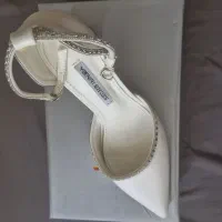 کفش مجلسی