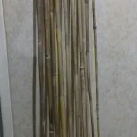 نی بامبو