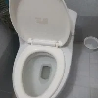 توالت فرنگی
