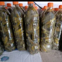خیارشور ویژه