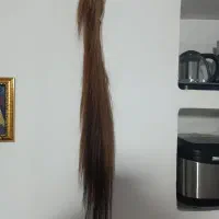 دمه اسب