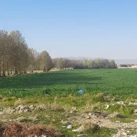 زمین-کشاورزی-هشتگرد