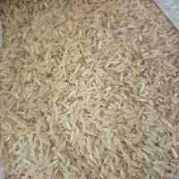 برنج طارم