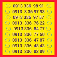 شماره های داییمی