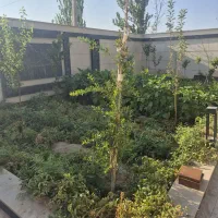 ویلا ۲۵۰ متری بهر خیابان اصلی