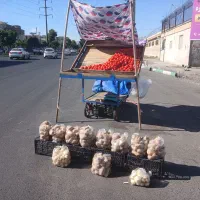 گاری میوه