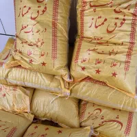 فجر/چمپا /کالابرگ