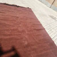 موکت ظاهر و باطن تو عکس پیداست
