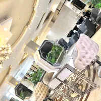 اجاره-اتاق-و-لاین-های-زیبایی-در-سالن-زیبایی