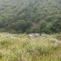فروش100متر-زمین-در-زیرآب-روستای-شش-رودبار-کد-17