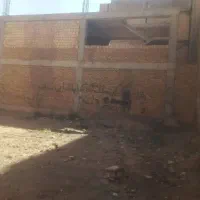 ملک نیمکار 103الباقی ماندانا اینجا تسویه شد