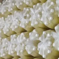 پخش عمده آبلیمو طبیعی