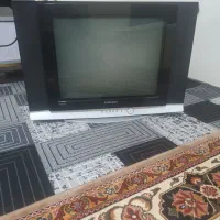 تلویزیون