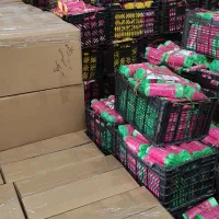 یکبار مصرف/سفره/نایلون فریزر/کیسه زباله/درجه یک