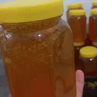 عسل