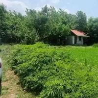 چهارقطعه زمین کامل‌مسکونی،دهبنه،کاسبی،۲۵۰تا۳۶۸متر