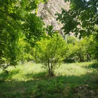 باغ|فروش خانه و ویلا|منجوان, |دیوار