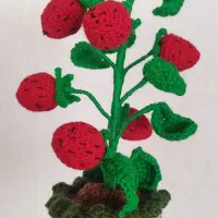 درختچه تزیینی