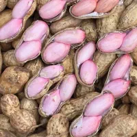 استخدام نیروی ماهر