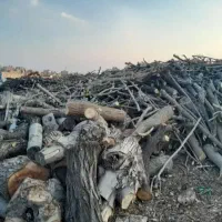 بنگاه ضایعات چوب نقد سرباسکول