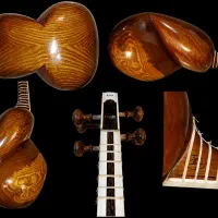 تار حرفه ای حاتمی