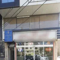 فروش ۲ دانگ از ۶ دانگ نمایشگاه اتومبیل