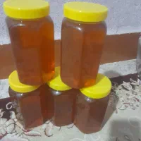 عسل کنار