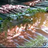 استخدام نیرو برای کبابی