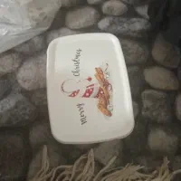 ظرف غذا نوی نو