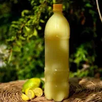 ترشی لیمو و آبلیمو