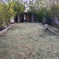518-متری-رامجین-ساحل