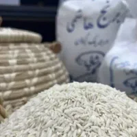 برنج هاشمی درجه یک گیلان