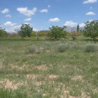 زمین باغی