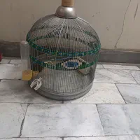 قفس طرقه
