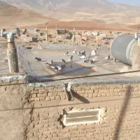 کفتر