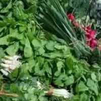 سبزی خورشت و ریحان