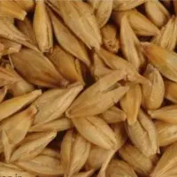 یک تن جو