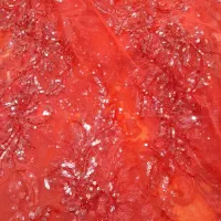 لباس کوردی مجلسی