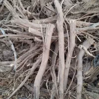 چوب قلمی مرکبات خشک