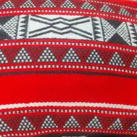 فروش چادرمسافرتی و۲عددرگال لباس و۱۲عددروپشتی مجلسی
