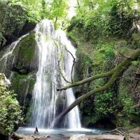 تور لحظه آخری شمال