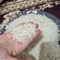 برنج ایرانی تضمینی به شرط