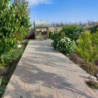 پیمانکار ی ساختمان