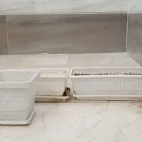 گلدان|گل و گیاه طبیعی|بروجرد, |دیوار
