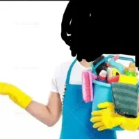 کارلازم هستم