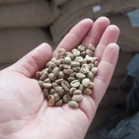 دان سبز قهوه