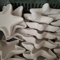 ستاره سفالی