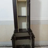 جاکفشی سالم