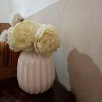 گلدان