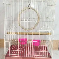 قفس پرنده مینا طوطی